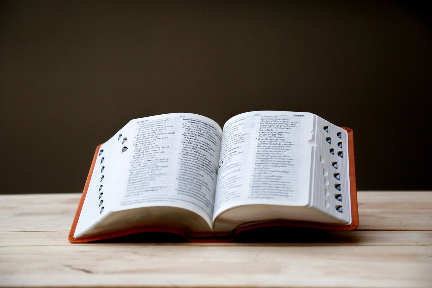 pisit-heng-642891-unsplash Dictionary
