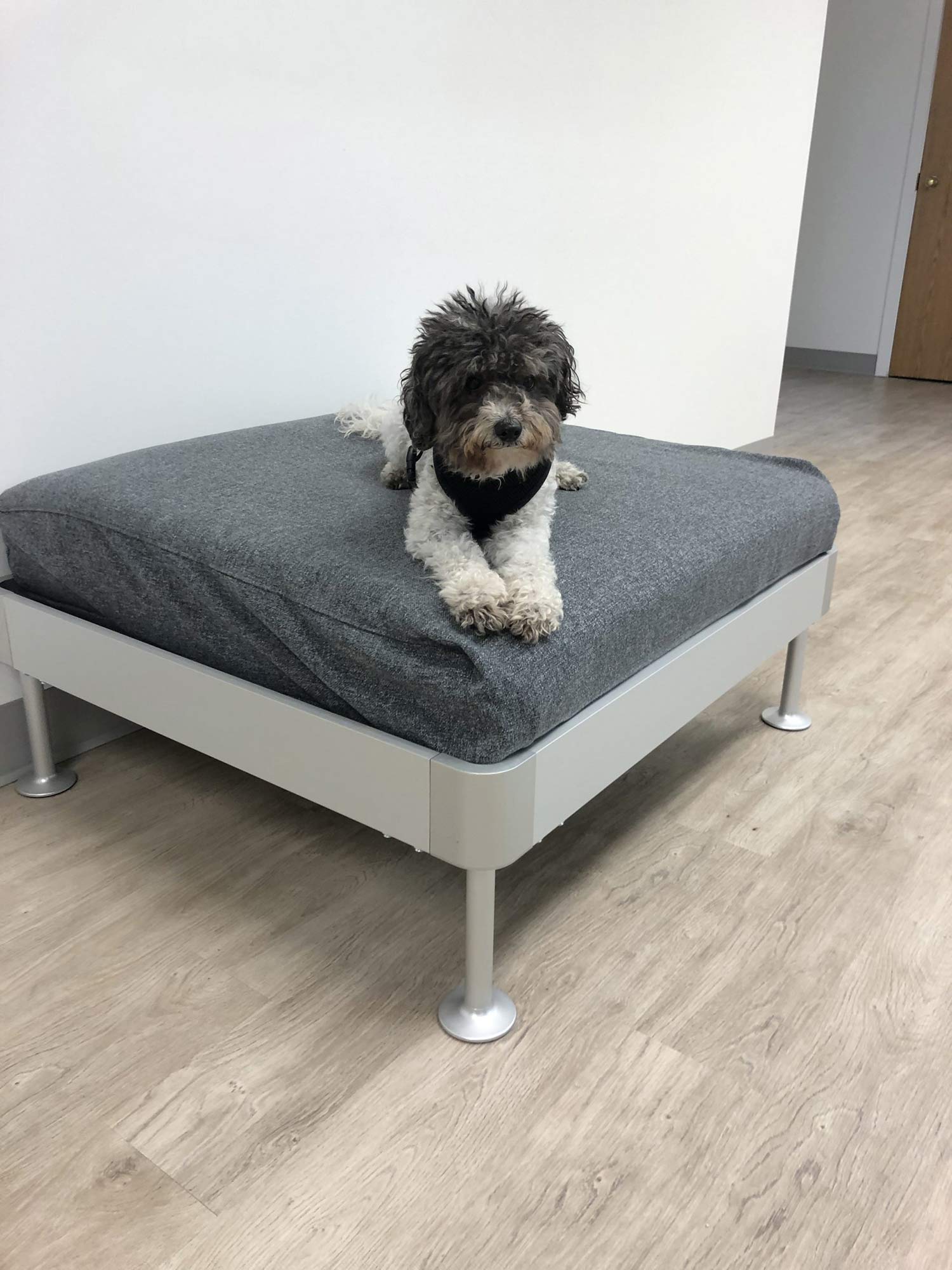 sampson-ann-arbor-clinic