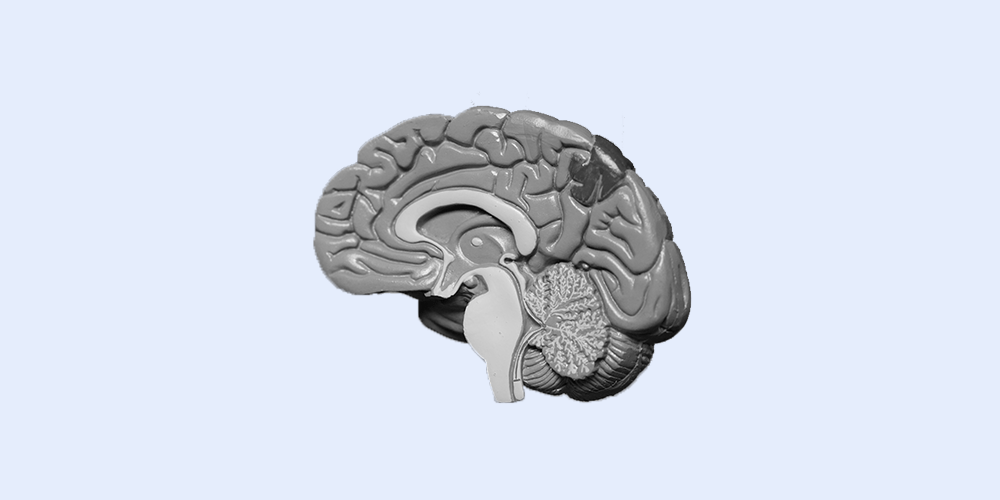 Blog_Brain Blog_Brain